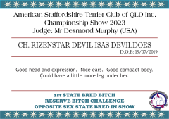 CH. RIZENSTAR DEVIL ISAS DEVILDOES